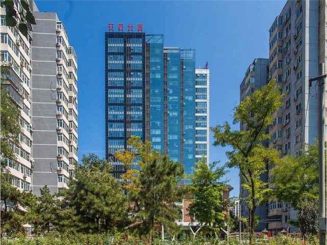 福建拉毛竹爬山虎哪里好